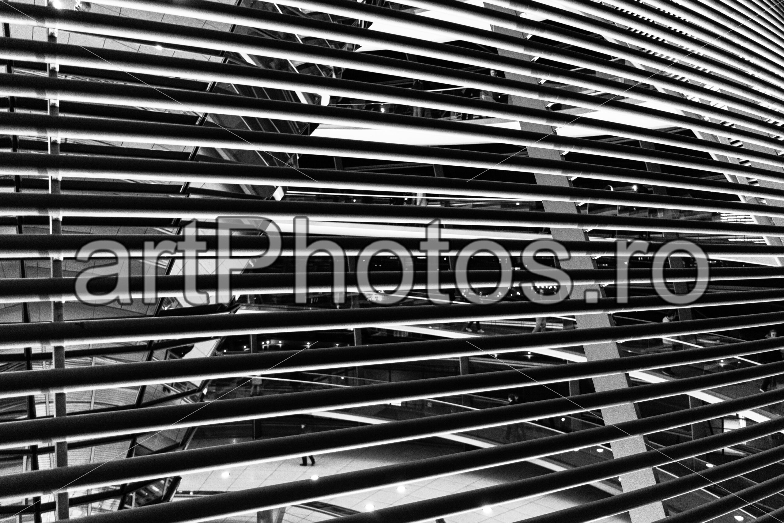 FreeDom – German Bundestag - artPhotos.ro FreeDom – German Bundestag - artPhotos.ro