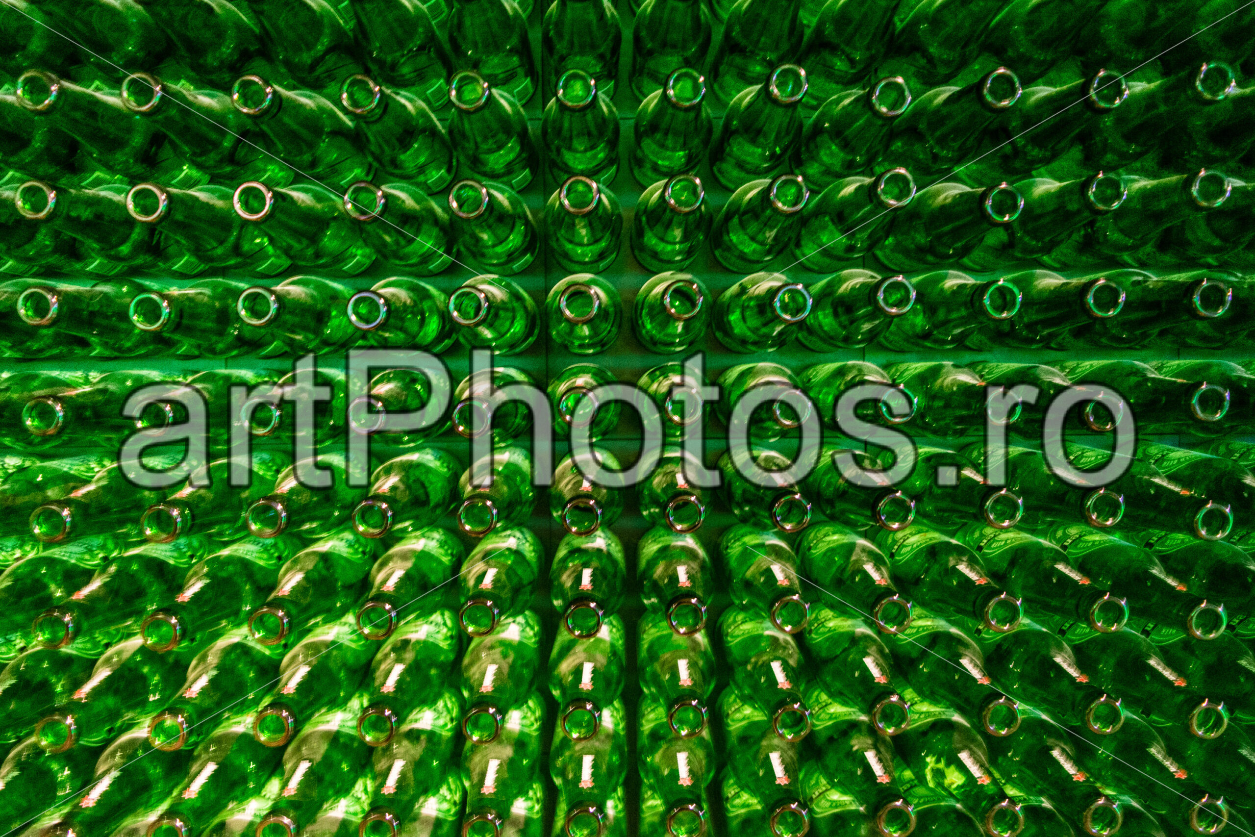 Green Amsterdam - artPhotos.ro Green Amsterdam - artPhotos.ro