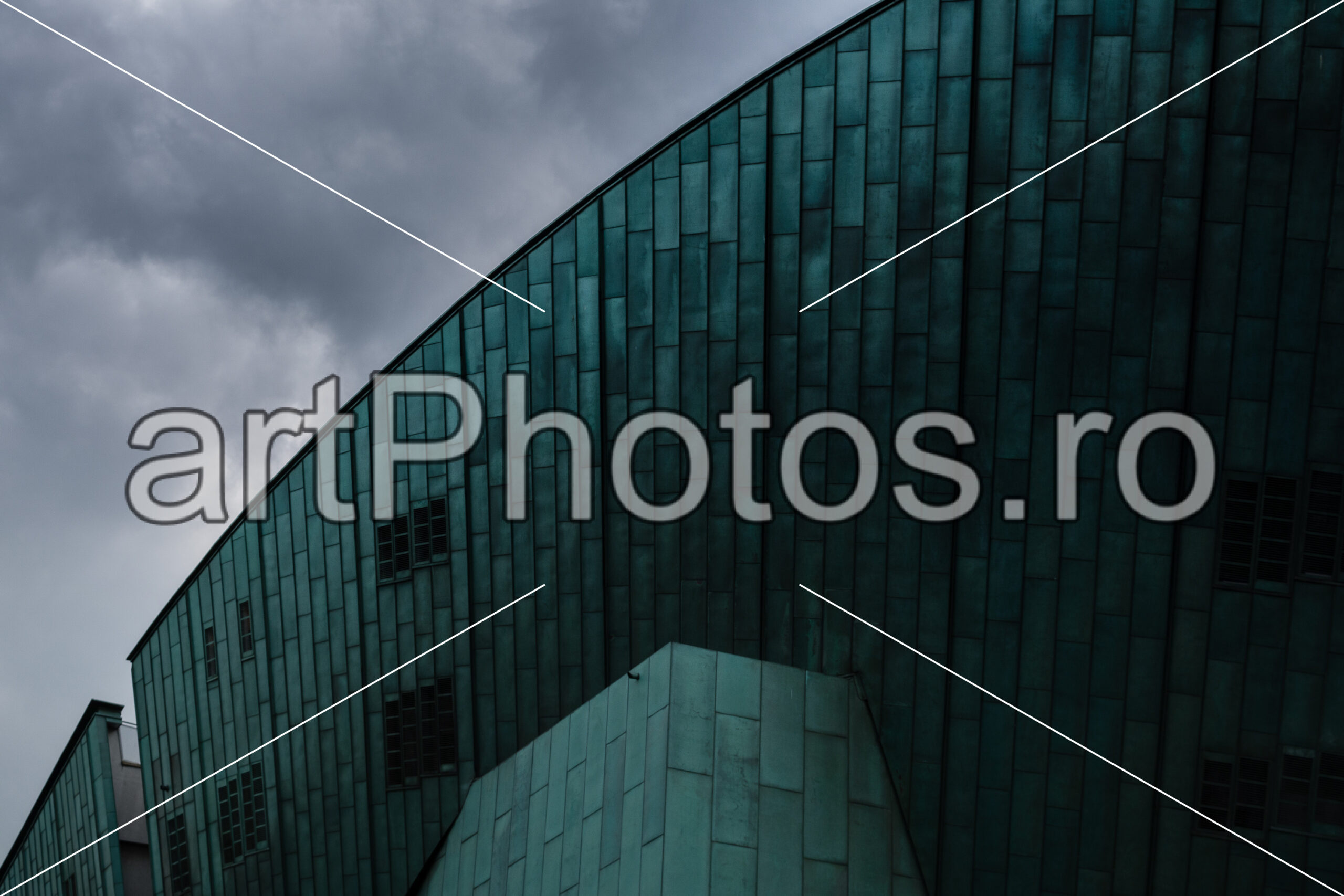 Finding Nemo – Amsterdam - artPhotos.ro Finding Nemo – Amsterdam - artPhotos.ro